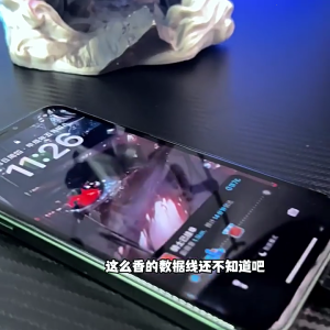 100W Loại C Nam để Loại C nam cáp sạc nhanh 480Mbps Tốc độ truyền linh hoạt dây bện cho điện thoại máy ảnh