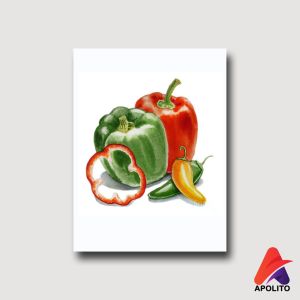 APOLITO (15X20 CM) HIASAN DINDING WALLDECOR PAJANGAN DINDING PAJANGAN KAYU BUAH