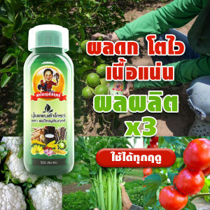 บำรุงพืชผัก พืชสวน พืชดอก พืชไร่ ไม้ผล ทุกชนิด ด้วยแพนต้าโกรว์ 500 ซีซี ปุ๋ยน้ำ พ่อใหญ่สัมฤทธิ์