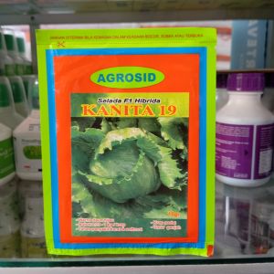 Benih selada kanita F1 19 10Gram