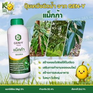 เจนวาย แม็กก้า 1L. (รูปแบบเนื้อเจล เร่งซึม) สร้างคลอโรฟิลล์ ใบเขียวสมบูรณ์ เร่งการสะสมอาหาร เร่งใบแก่ เพิ่มความสมบูรณ์ ใบหนาใหญ่ เสริมการทำงานของเอ็นไซม์