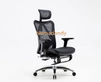Sihoo M57 Ergonomic Office Chair Computer Chair Desk Chair High Back Chair Breathable Skin-Friendly Mesh Chair Adjustable
