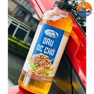 (500ml1 lít) Dầu óc chó vàng rừng nguyên chất. Tinh dầu hạt óc chó cho bé ăn dặm từ hạt óc chó nguyên tách vỏ