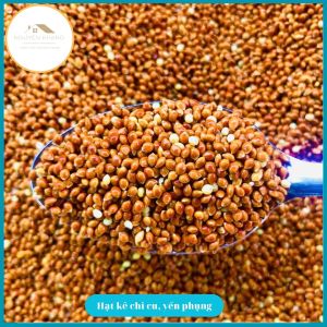 3kg Hạt kê nhỏ kê đỏ hạt bóng cho chim cu gáy Vẹt chim Yến Phụng chim cảnh Hamster và các dòng chim sẻ