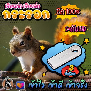 เสียงต่อกระรอกป่า เสียงล่อกระรอกป่า เสียงกระรอกป่า เแฟลชไดร์ฟเสียงกระรอกป่า ชัด เสียงใส ไม่มีโฆษณาแทรก พร้อมส่ง! มีเก็บเงินปลายทาง