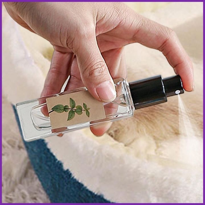 Cat Nip Catnip Herbal Attractant Effective Liquid Mist for Scratching