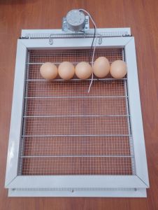 khay đảo máy ấp trứng gà vịt tự động