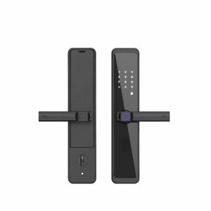 Fingerprint Lock Biometric Automatic Sliding Cover Smart Door Lock Home Security Intelligent Electronic Door Lock Fingerprint/IC card/Passcode /Key Unlock for Home Hotel can install at right and left door