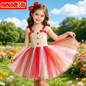 11.11 Classic Holiday Gingerbread Fancy Tutu Gown with Lovely Pastry Print Great for Xmas Parades and Family Celebration Gatherings h2610