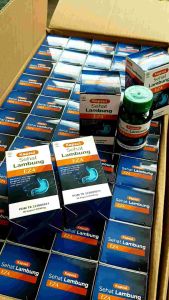 Paket 3 botol Kapsul Sehat Lambung EZA 60 kp || obat maag kronis || obat asam lambung || obat gerd