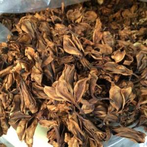 100 gr Hoa sứ- Bông sứ (hoa đại) loại hoa trắng nhụy vàng bông nhỏ hàng tự nhiên (bông khô hàng sạch thơm mới)