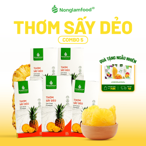 Combo 5 Hộp Thơm (Dứa/ Khóm) Sấy Dẻo NONGLAMFOOD Hàng Loại 1 Chuẩn Xuất Khẩu | Trái Cây Sấy Hộp 100g