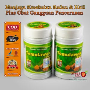 TEMULAWAK 60 Kapsul Herbal Kesehatan Hati Liver