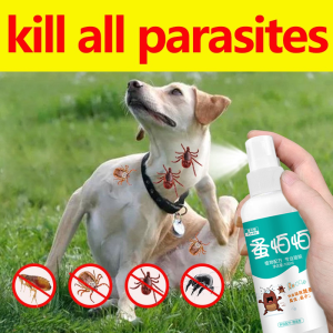 【Buy 1 take 1】Ticks Away 100ml Pet Spray for dogs & cats - anti tick (garapata) & flea (pulgas) & lice (kuto)