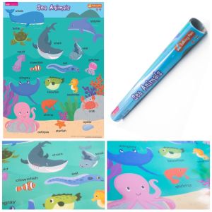 โปสเตอร์พลาสติก Poster กันน้ำ 10 หมวด เลือกแบบได้💝 โปสเตอร์กันน้ำ ทนทาน ไม่ขาดง่าย โปสเตอร์สำหรับเด็ก เสริมพัฒนาการเด็ก