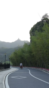 Bicycles Trailer Hitch Coupler Attachment Adapter Universal Bike Trailer Coupler Connector Cycling Adapter Accessories