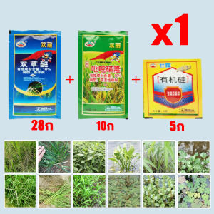 🌾ฆ่าหญ้าเท่านั้น🌾หลังโรยหญ้าตายอัตโนมัติ ยาคุมหญ้าข้าว หญ้าไม่ขึ้น 5 ปี คุมฆ่าในนาข้าว อัตราฆ่าตายสูง หญ้าหูหนู สารกำจัดวัชพืช กำจัดวัชพืชรุนแรง คุมเลนนาข้าว ยาคุมหญ้า หญ้ารากเน่า คุมเลนนาข้าว ไม่ทำลายข้า วสารกำจัดวัชพืชในนาข้าว ยากำจัดวัชพืชในนาข้าว