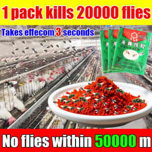10 years without flies fly killing fly killer trap flies repellent Fly Killing Bait Powder Flies Killer fruit Fly Attractant Non-toxic and odorless 100% fly killing rate