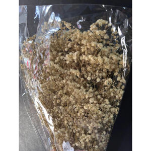 Big bundle Gypsophila dried flowers/ preserved flower (babys breath)