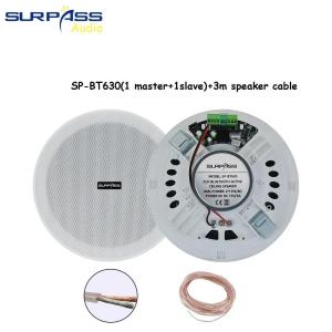 Home audio system 6.5 inch 15w bluetooth active ceiling speaker built-in class d amplifier abs material speaker for bathroom