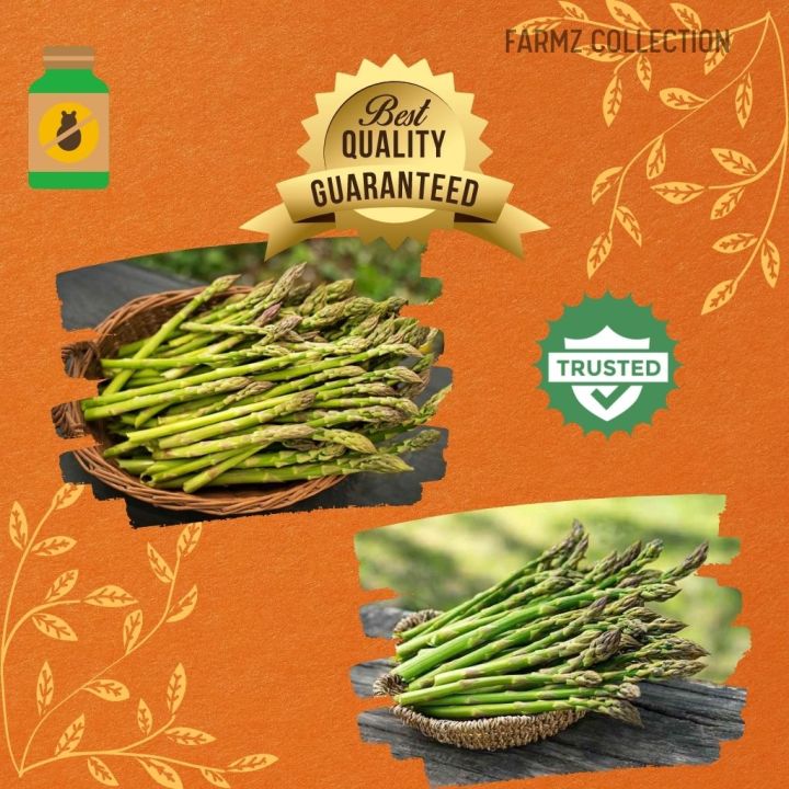 Racun serangga ulat tanaman asparagus insecticide Pleo 10.6 Tomato