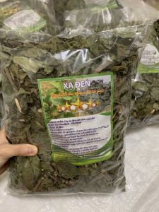 Xạ đen tía Hòa Bình (gói 500g) cây xạ đen cho người máu nhiễm mỡ gan nhiễm mỡ huyết áp cao mất ngủ