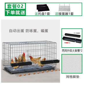 Chicken Cage Free Chicken Coop Quail Cage Household Large Free Shipping Breeding Cage Multiple Specifications