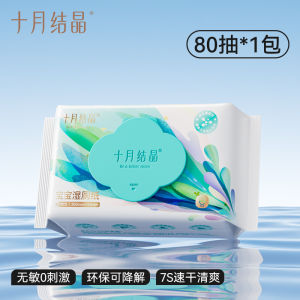 TEN‑M JOURNEY  80pcs Pro‑Biotic Flushable Wet Toilet Wipes 99.9% Bacteria Removal Baby Wet Wipes