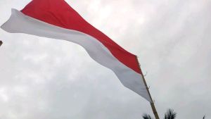 BENDERA BACKGROUND GARUDA RUMBAY GELOMBANG GARUDA MERAH PUTIH