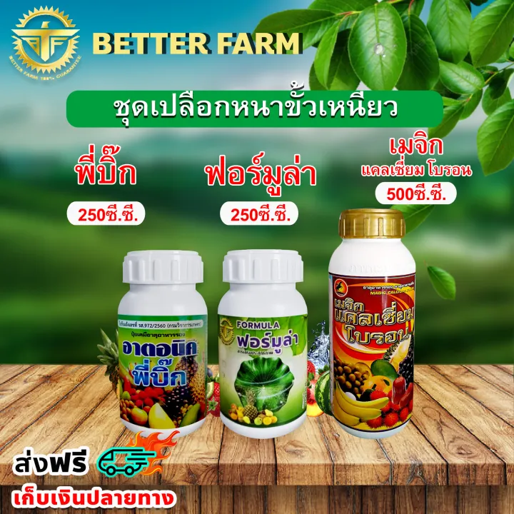 ชุดบำรุง พี่บิ๊ก เปลือกหนาขั้วเหนียว แคลเซียม โบรอน