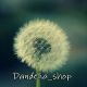 Dandelia