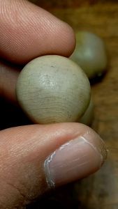 batu buah bambu puser bumi