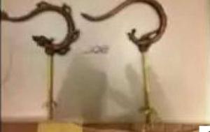 1 Chiếc Móc Treo lồng chim Chào Mào Họa Mi - HÌNH PhƯỢNG ( Mua 3 tặng 1 ) - Little Lala Shop