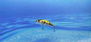 minnow minow 5 cm sinking glowing