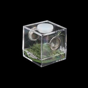 [COD] dfhws Reptile Breeding Box Acrylic Spider Lizard Scorpion Entis Insect Terrarium Box