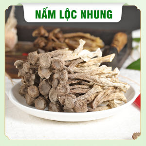 Nấm lộc nhung 100g (Nấm quý cao cấp nấu canh bổi bổ sức khỏe) - Chợ Thảo Dược Việt