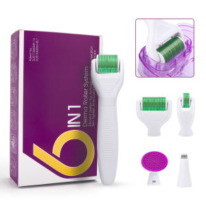 DRS 6 in 1 Micro Derma Roller Kit for Face and Body 300/720/1200 Titanium Dermaroller Micro Facial Roller Skin Care
