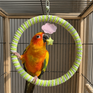 TRANQUIL HUT Cloud Star Ornament Parrot Swing Ring Hanging Wear-Resisting Bird Toy Swing Birdcage Accessories Round Parrot Chewing Toy Indoor