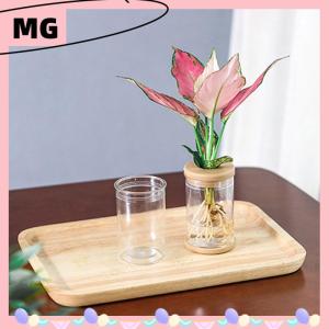 【Magical House】[ New Hot Fashion] Lazy Transparent Flowerpot Hydroponic Automatic Water Absorption Flowerpot