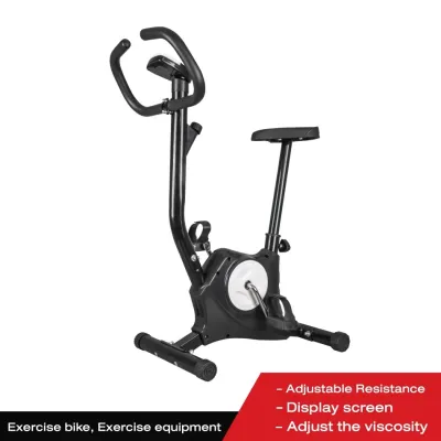 BG Sport Indoor Upright Stationary Exercise Bike Household Fitness Model YS02