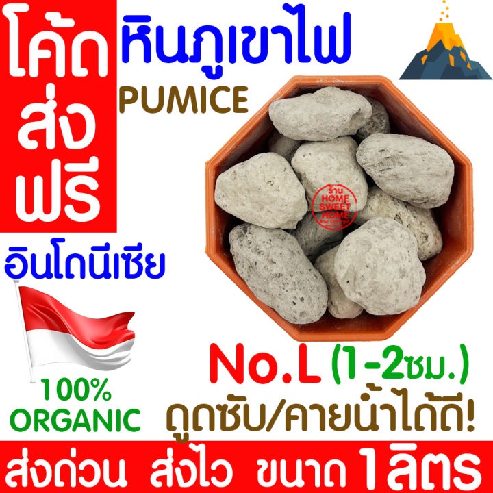 หินภูเขาไฟ เบอร์ L (1-2ซม.) 1ลิตร สำหรับระบายน้ำก้นกระถาง