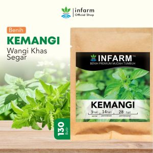 INFARM-Benih Super Daun Kemangi Bibit Daun Kemangi Biji Daun Kemangi Benih Daun Kemangi