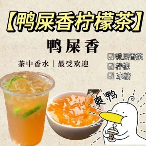 鸭屎香柠檬茶鸭水果茶 Duck Shit Fragrant Lemon Tea Fruit Tea
