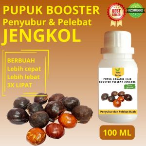 Pupuk Jengkol Cepat Berbuah / Pupuk Pelebat Buah Jengkol / Pupuk Booster Jengkol Cair
