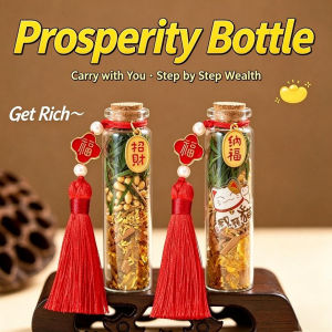 Feng Shui Lucky Charm for Money and Business Wealth Bottle Good Fortune Bag Pendant Ornament