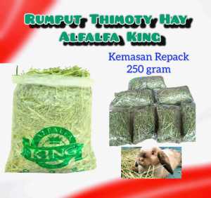 Rumput Thimoty Hay Alfalfa King Makanan Kelinci Kemasan Repack 250gr