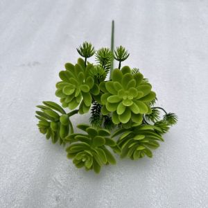 sen đá .Cụm sen đá 5 bông .dùng cắm trang trí nhà cửa .decor