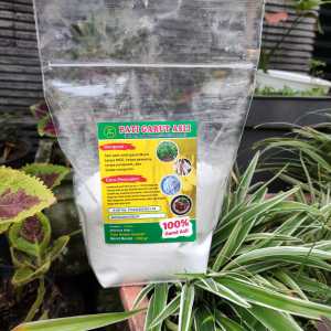 Tepung Pati Umbi Garut 500 Gram Asli 100% Original Solusi Asam Lambung Maag Gerd Teman Lambung Sehat