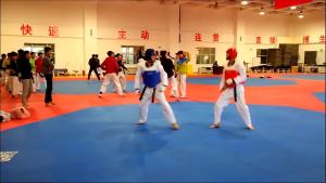 Traditional Taekwondo Chest Guard Kids Men Women Student Red Blue Karate Tae Kwon Do Protectors WTF Approved Vest Supporters TKD