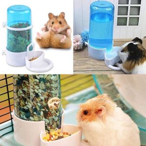 The Ultimate Guide to Small Animal Drinkers & Feeders